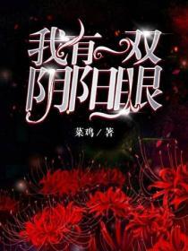 我有一双阴阳眼空星txt