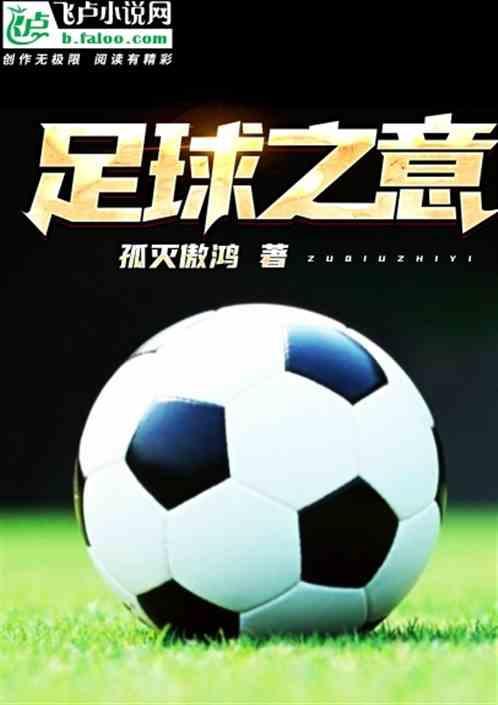 足球之意大利国家队