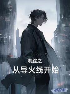 港综警队话事人暗影拳