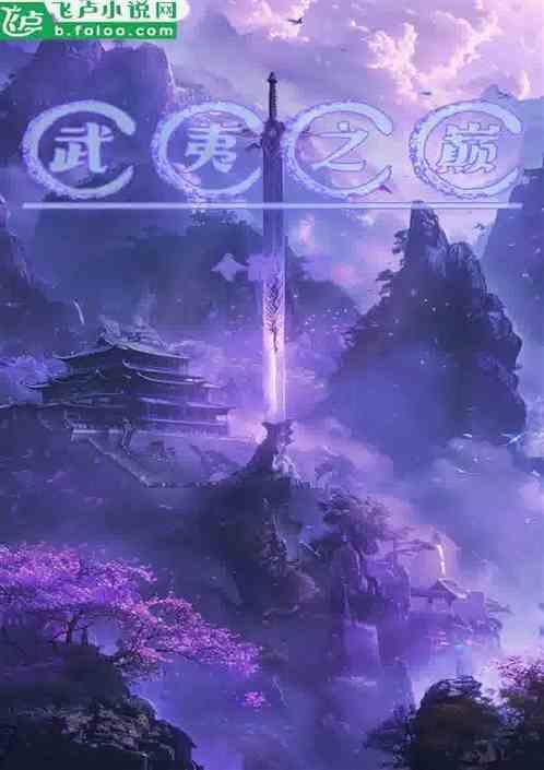 武夷之巅茶什么档次