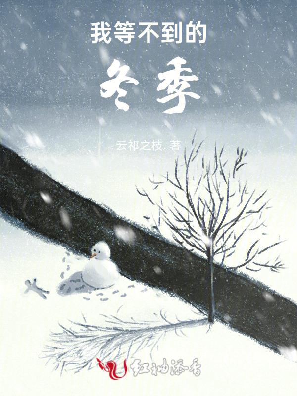 我等不到风也等不到你