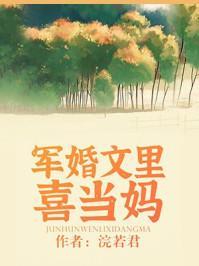 军婚文里喜当妈全文