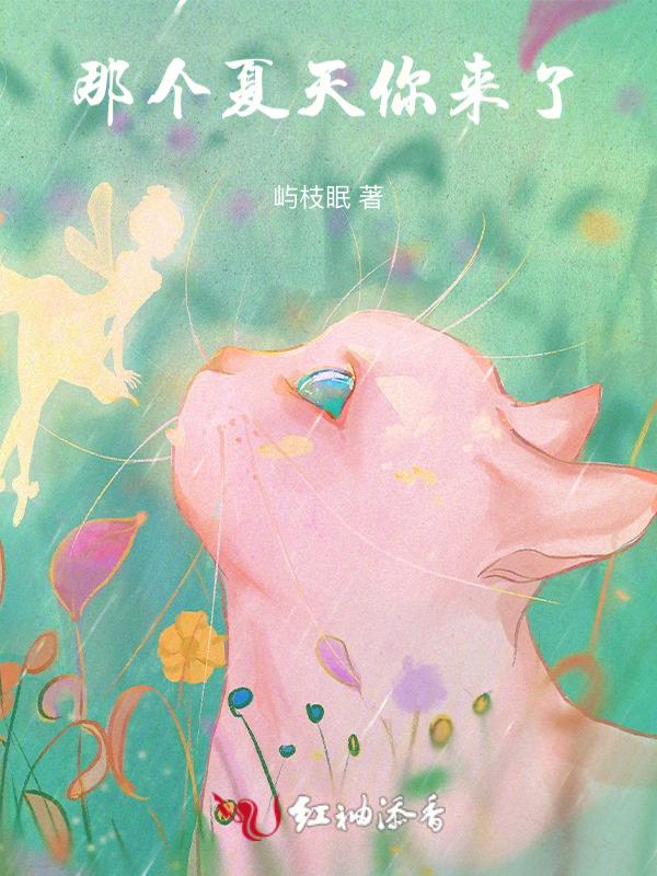 那个夏天他走了