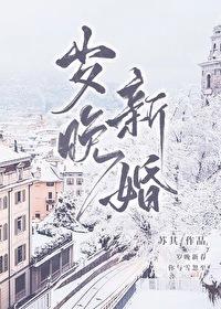 岁晚新婚番外免费阅读笔趣阁