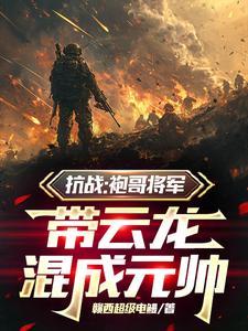 带云龙混成元帅TXT