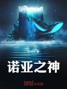 诺亚之神卡片