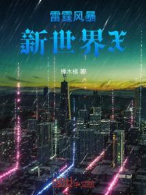 电视剧雷霆风暴