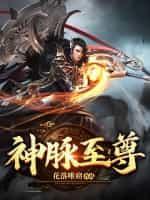 神脉至尊笔趣阁