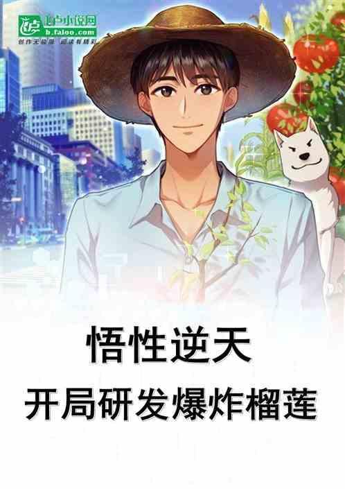 开局研发飞机的