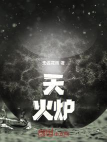 天火炉子