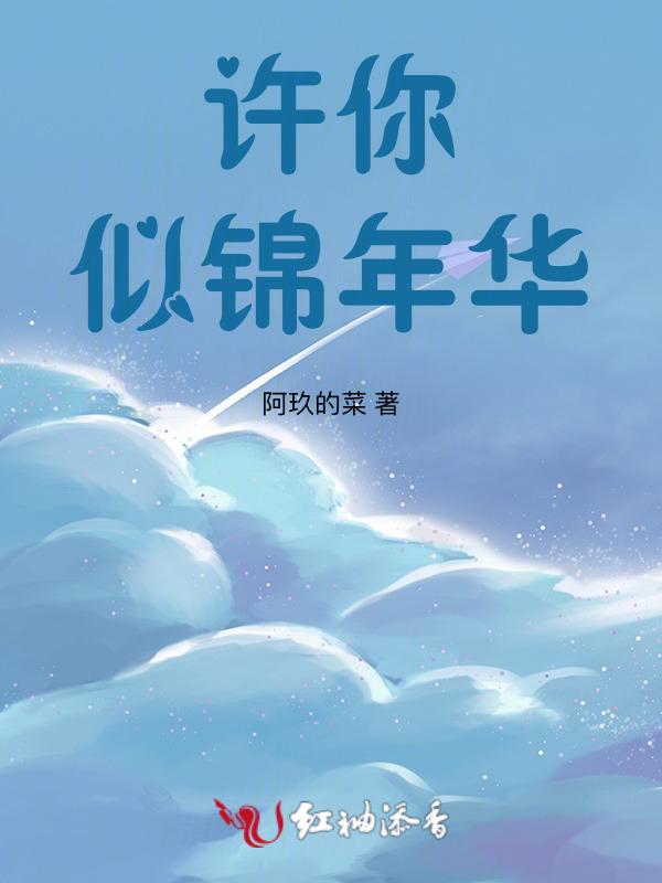 年华似锦许你一世欢颜