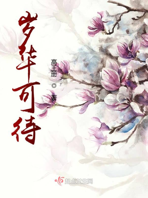 岁华是什么的佩剑