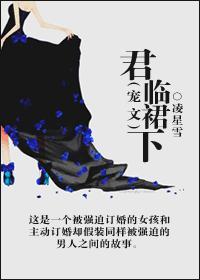 君临臣下百科