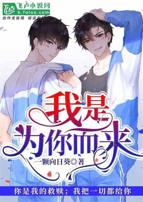 我是为你而来歌词是什么意思