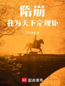 我为天下定规矩免费