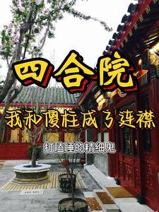 四合院开局傻柱进牢房