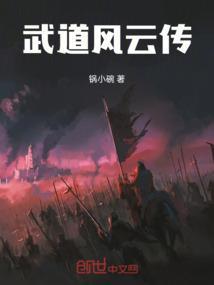 武道风流26级多少成就点
