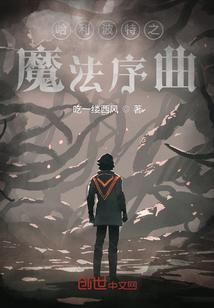 哈利波特魔法觉醒国际服