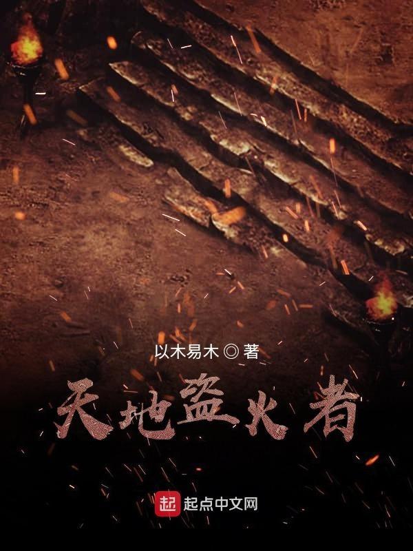 盗天地精华功法