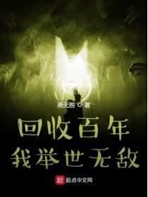 回收百年我举世无敌TXT