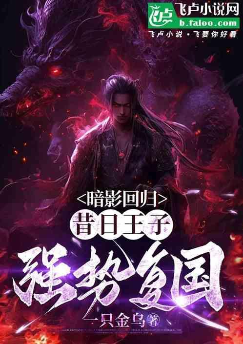 暗影王子的心