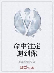 命中注定遇见你歌词是什么意思