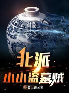 盗墓贼北派南派