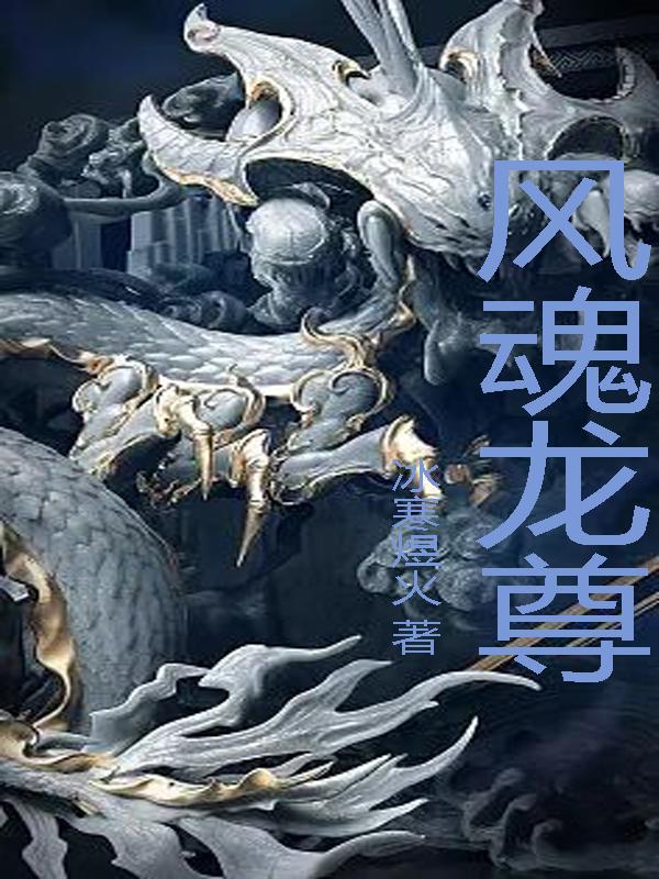 风龙魂属性