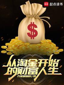 从淘金开始的财富人生 作家枫林树