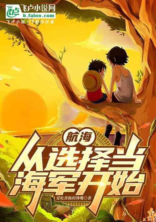 海贼之从海军大将开始神级选择
