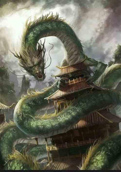 触手可及作者