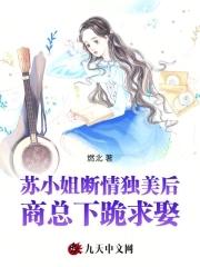 苏小姐怀孕了
