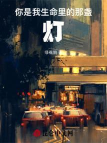 你是我生命中的一盏灯作文800字