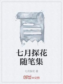 七天探花4