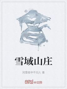 雪域矿业有限责任公司