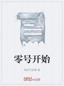 零号是啥
