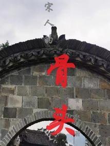 宋人现象