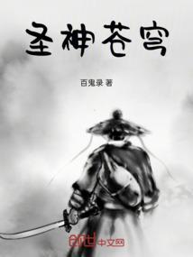 苍穹圣主完结了吗