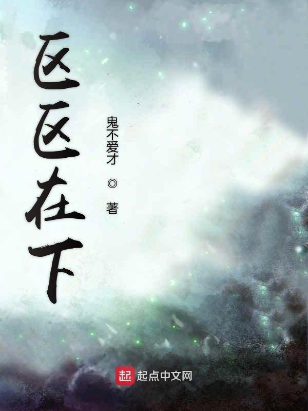 区区之见什么意思