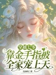 穿越七零全家都穿越的