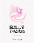 腹黑王爷王妃要休夫