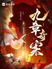 九章奇案讲的什么