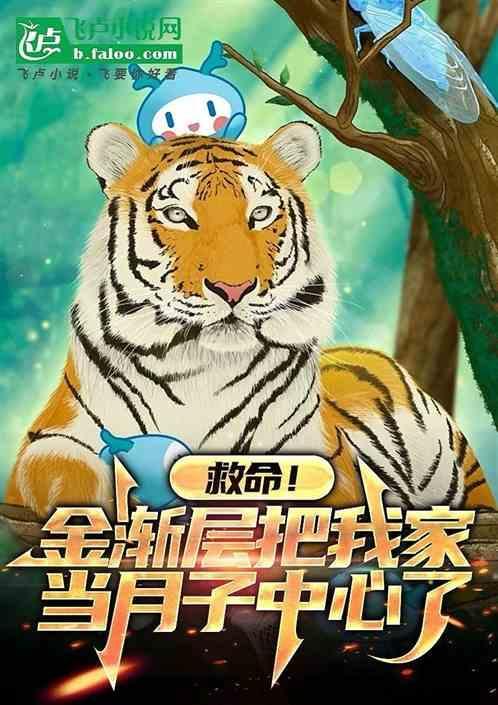 金渐层ny by cy