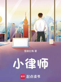 小律师事务所一年收入