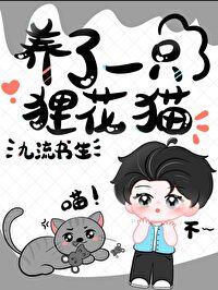 养狸花猫的人