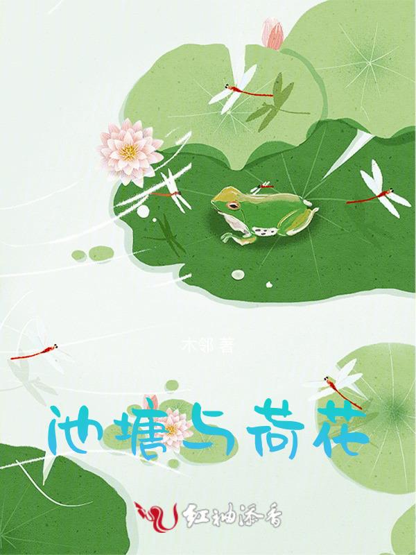 池塘荷花姿态各异