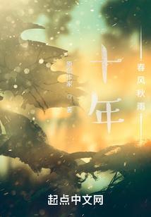 十年风雨十年心的意思