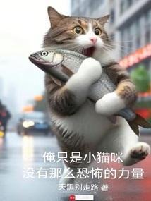 我是只小猫