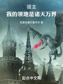 我的领主的领主不是我的领主