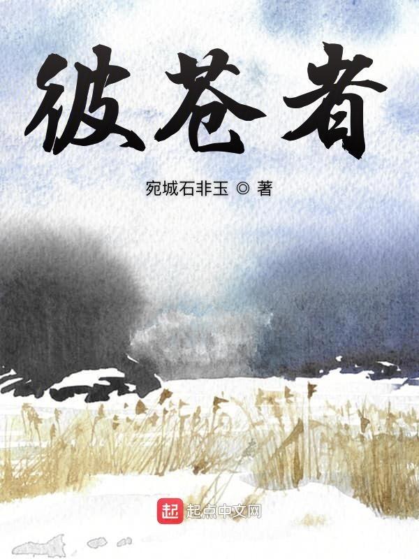 彼苍者天曷其有极是什么意思
